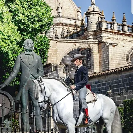 Sherryflat Fergus- Parking, Tv Internacional Jerez de la Frontera